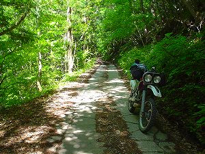 ��b�ؐ����X�ѓ�6�^ORR