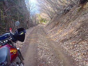 �v�ۈ�����ѓ�5�^ORR