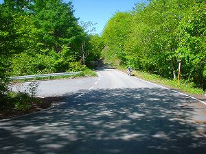 �����X�ѓ�4�^ORR