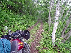 �K���ѓ�2�^ORR