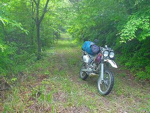 �K���ѓ�3�^ORR