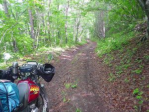 �K���ѓ�4�^ORR