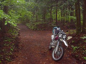 �K���ѓ�5�^ORR