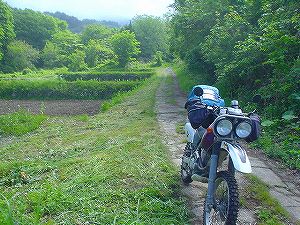 �K���ѓ�6�^ORR