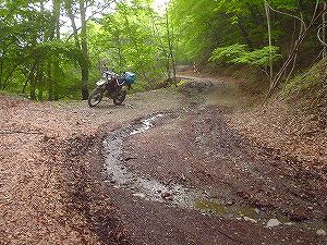 �����R�ѓ�4�^ORR