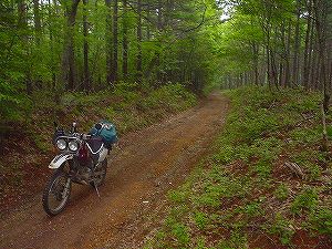 �����R�ѓ�5�^ORR