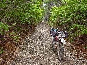 �����R�ѓ�6�^ORR