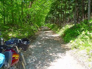 ���X��ѓ�6�^ORR