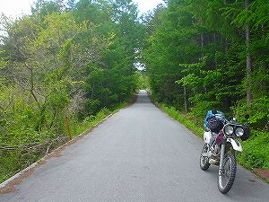 �����R�ѓ�6�^ORR