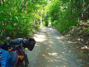 ���`�R�ѓ�4�^ORR