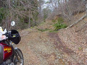 ����ѓ�2�^ORR