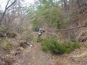 ����ѓ�4�^ORR