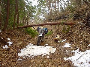 ����ѓ�5�^ORR