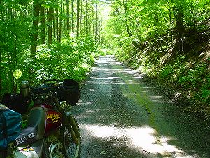 �~�R�ѓ�5�^ORR