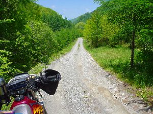 �~�R���X��ѓ�4�^ORR