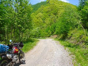 �~�R���X��ѓ�5�^ORR