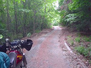 ������E�ݗѓ�4�^ORR