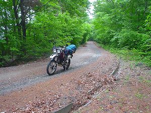 ������E�ݗѓ�5�^ORR