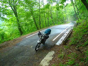 ���i����ѓ�(���ԓ�)2�^ORR