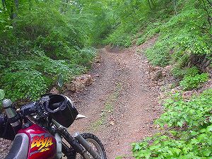 ���i����ѓ�(���ԓ�)3�^ORR