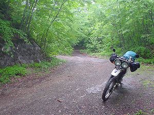 ���i����ѓ�(���ԓ�)5�^ORR