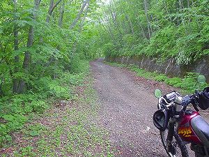 ���i����ѓ�(���ԓ�)6�^ORR