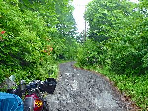 ����Ηѓ�(���W����)2�^ORR