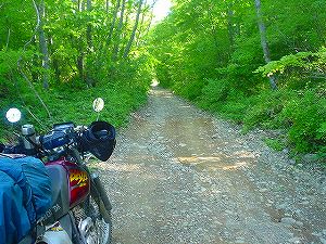 ������ѓ�3�^ORR