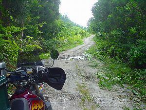 �A�e�r�I�ѓ�6�^ORR