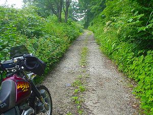 ������S��������2�^ORR