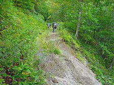 �D���ѓ�4�^ORR