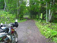 �؋׊x�ѓ�2�^ORR