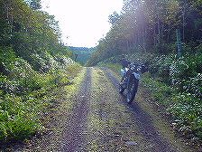 �؋׊x�ѓ�5�^ORR