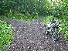 �؋׊x�ѓ�6�^ORR