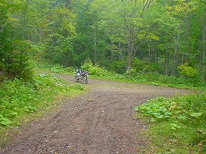 �����A���ѓ�1�^ORR