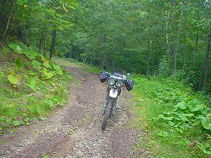 �����A���ѓ�2�^ORR