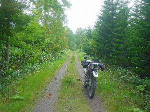 �����A���ѓ�3�^ORR