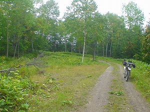 �����A���ѓ�4�^ORR