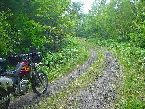 �����A���ѓ�6�^ORR