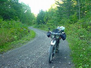 ���m�I�ѓ�4�^ORR