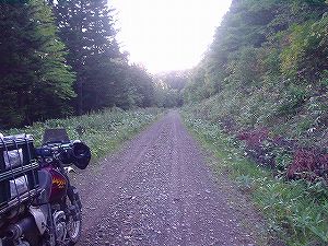 ���m�I�ѓ�5�^ORR