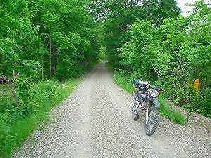 �z��ؔ�ѓ�2�^ORR