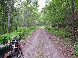 �z��ؔ�ѓ�4�^ORR