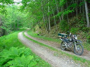 �z��ؔ�ѓ�5�^ORR