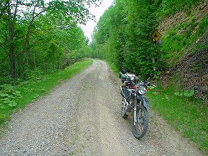 �z��ؔ�ѓ�6�^ORR