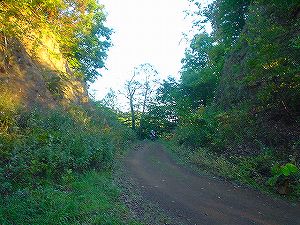 �����ѓ�(������)4�^ORR