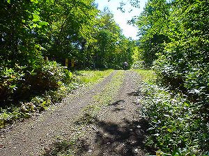 �N�`�����i�C�ѓ�6�^ORR