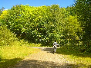 �Ηy�ѓ�1�^ORR