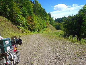 �Ηy�ѓ�2�^ORR