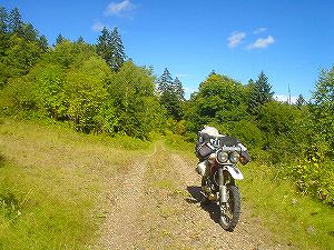 �Ηy�ѓ�3�^ORR